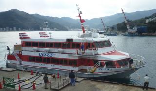 pict-P1050288ヴィーナス厳原港
