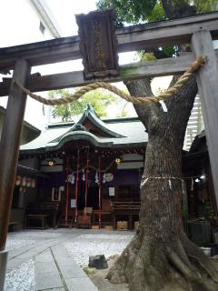 pict-P1030225