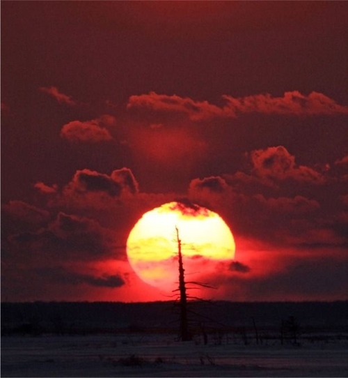 トドワラに沈む夕日s