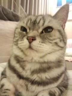 みこアップ
