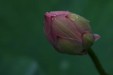 e81e25d4.jpg