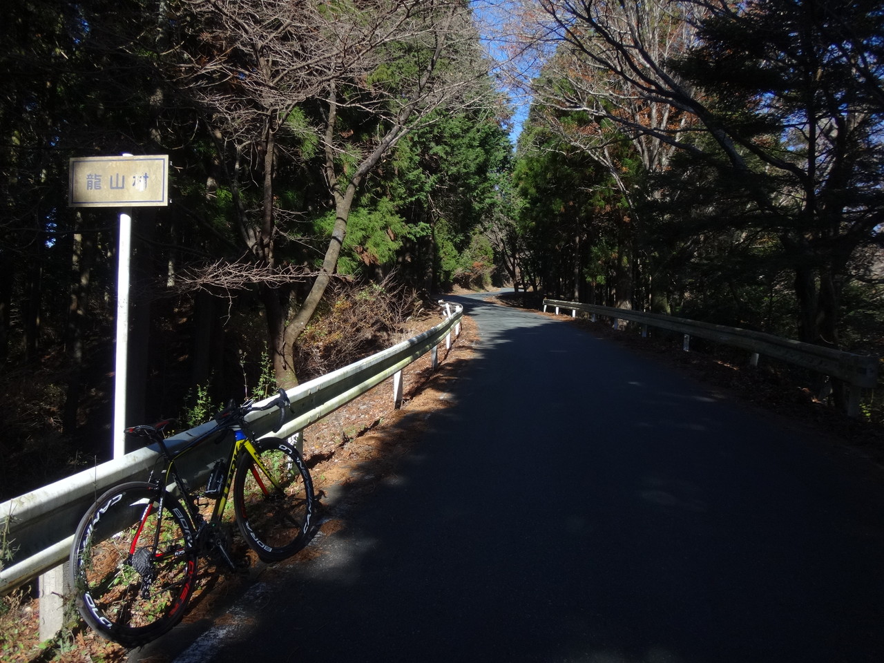 スーパー前の自転車の山