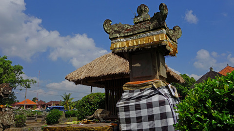 DSC02519