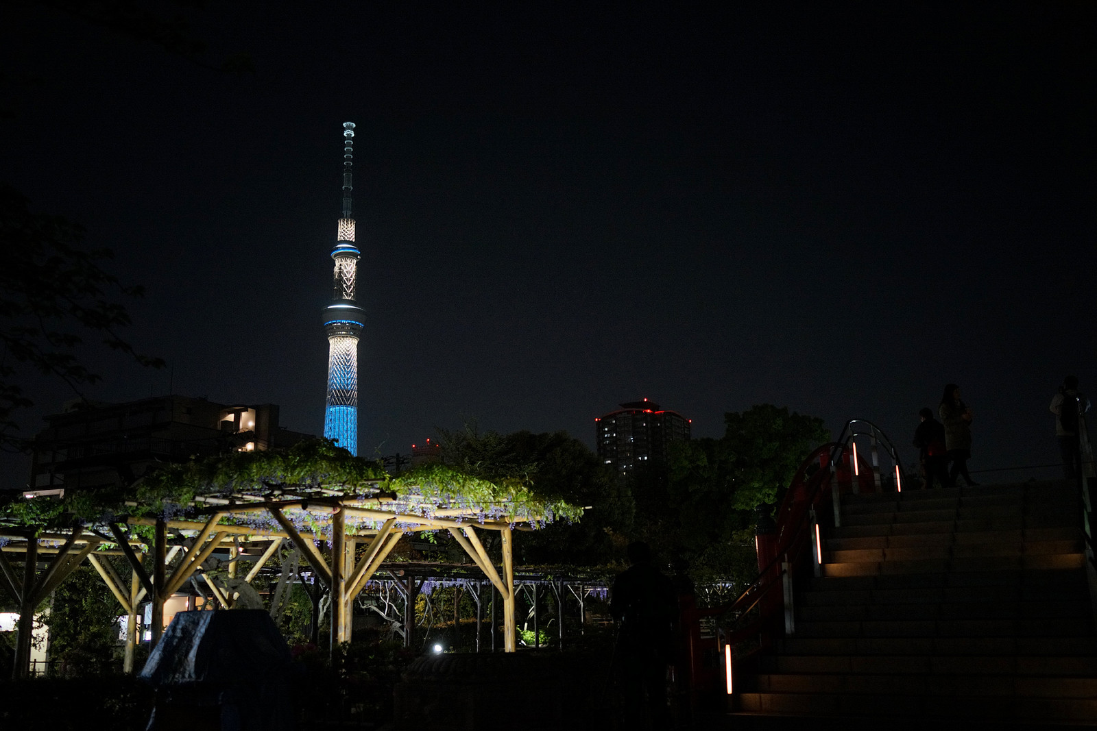 亀戸天神 夜の藤 Masayu I Blog ちらしのうら Part 3