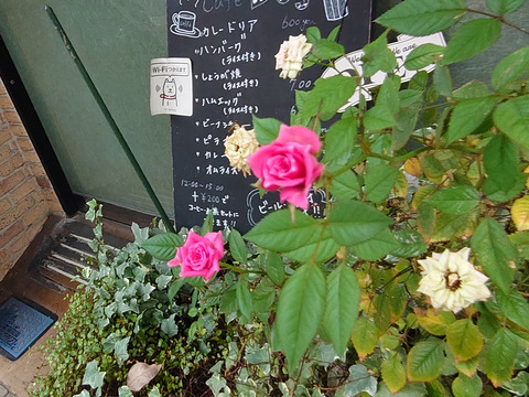01__Xperia05_16mm_Crop1