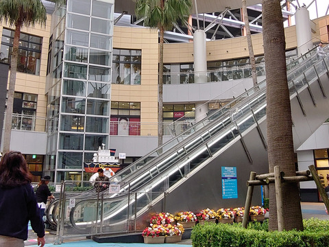 06__Xperia05_16mm_Crop1