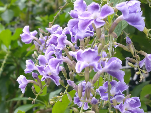 02__Xperia10_Crop1