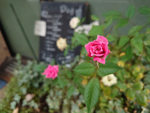 01__Xperia05_26mm
