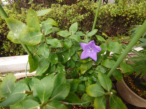 07__Xperia05_16mm