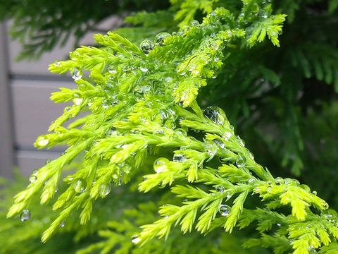 08__Xperia10_Crop1