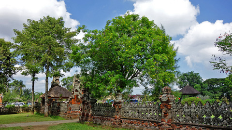 DSC02528