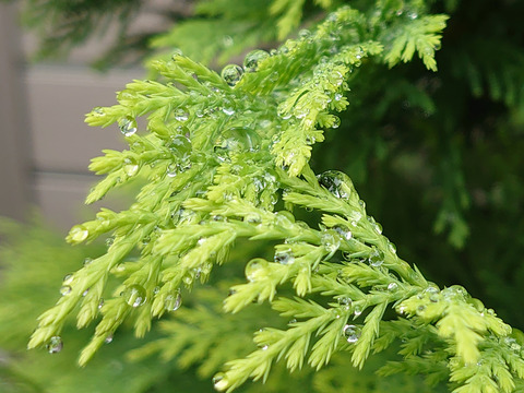 08__Xperia05_26mm_Crop1