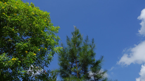 DSC02628