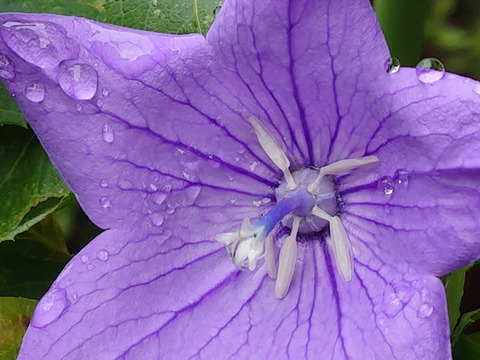 07__Xperia05_52mm_Crop1