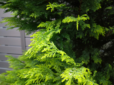 08__Xperia10_