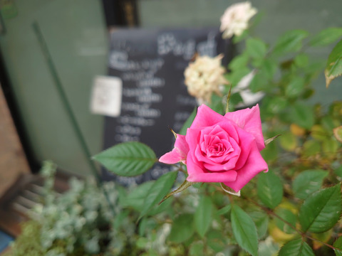 01__Xperia05_52mm