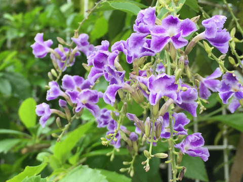 02__iphone6_01_Crop1