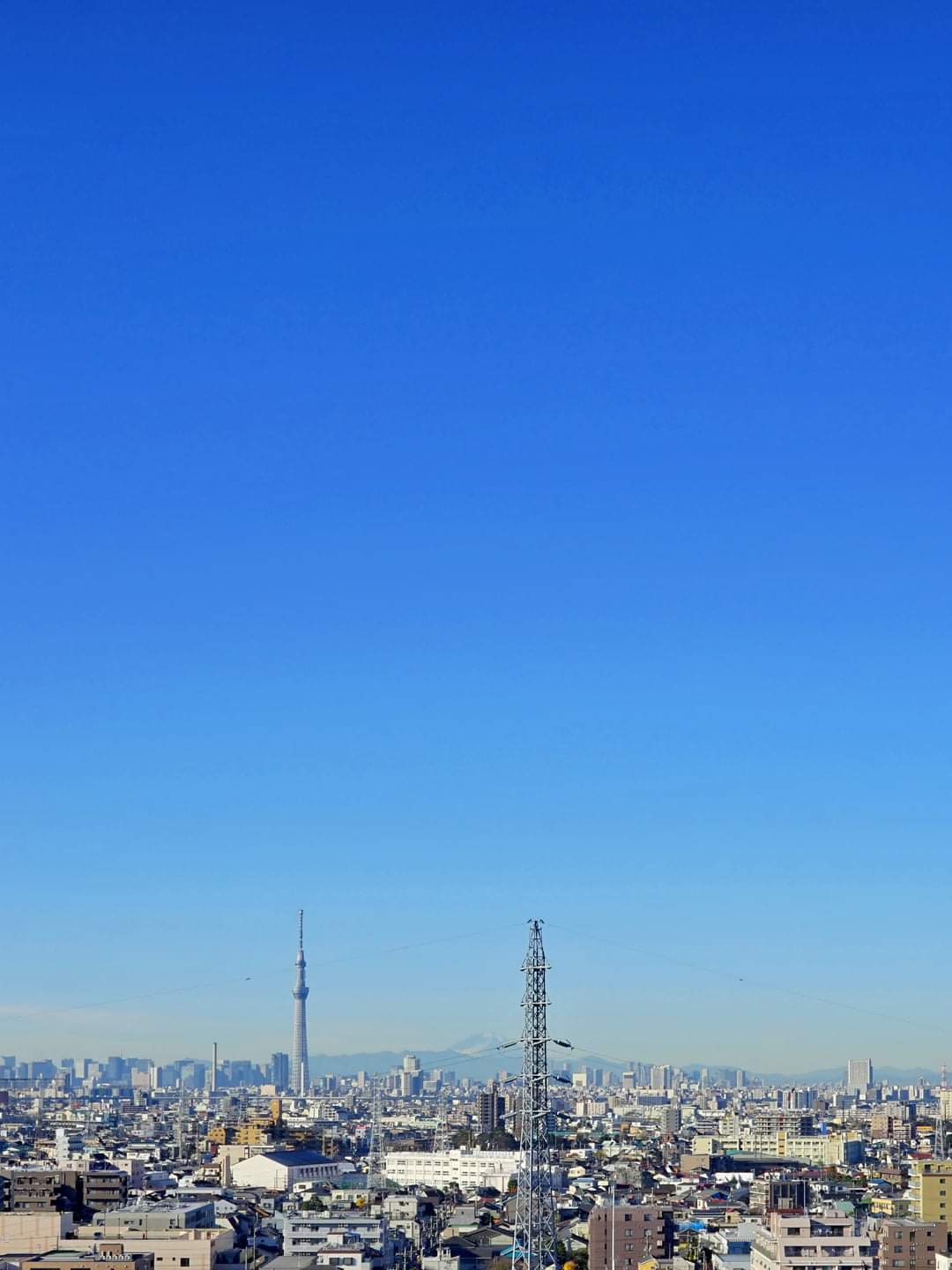 冬の景色と面白可愛いグッズ r Masayu I Blog ちらしのうら Part 3