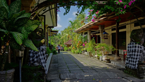 DSC02684-1