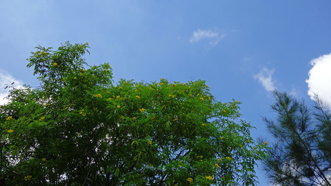 DSC02543