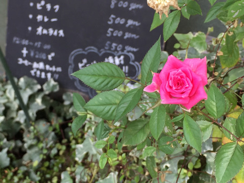 01__iphone6_01_Crop1