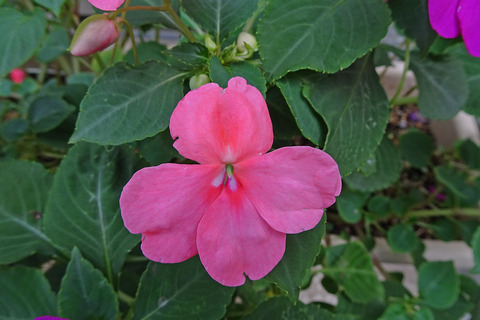 DSC06947