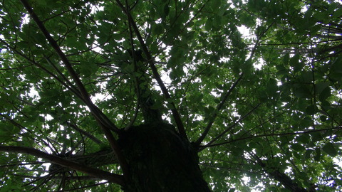 DSC01190