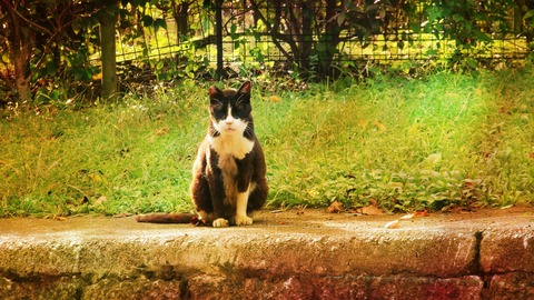 BeFunky_nul3l_1