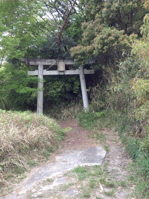 画像2