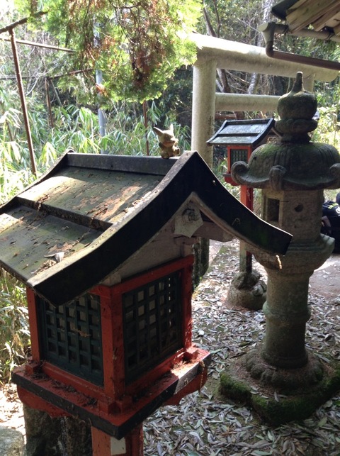画像4