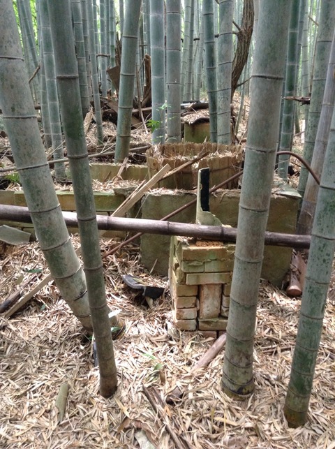 画像9