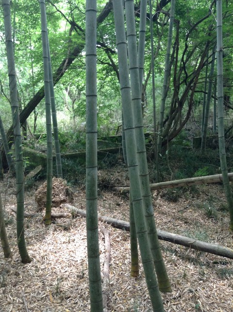 画像13
