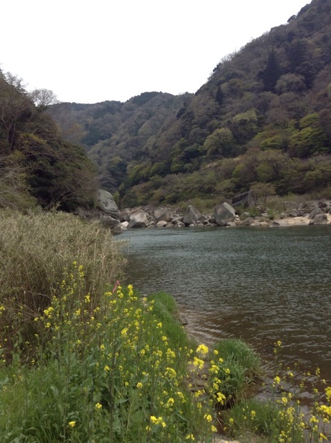画像13