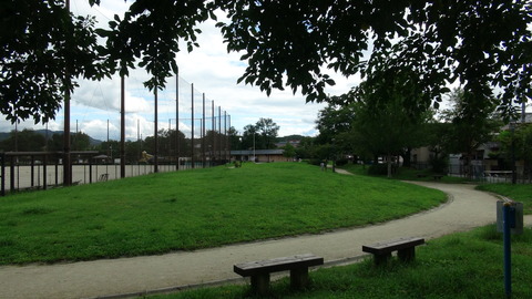 DSC01193