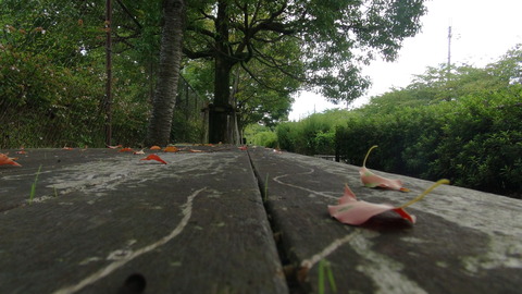 DSC01198
