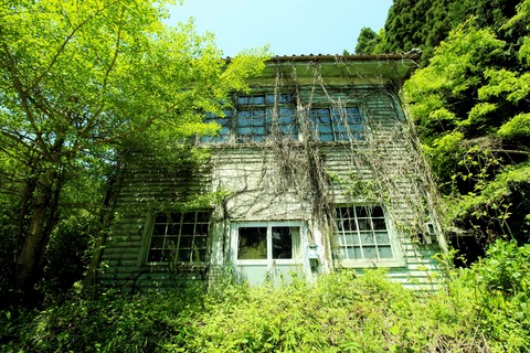 写真 2016-05-02 午前11 46 42