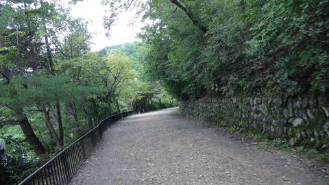 DSC01211