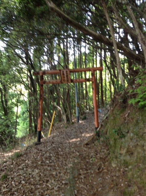 画像7