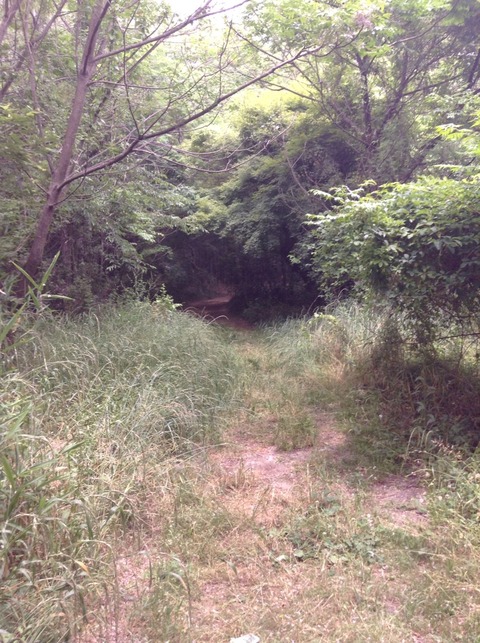 画像22