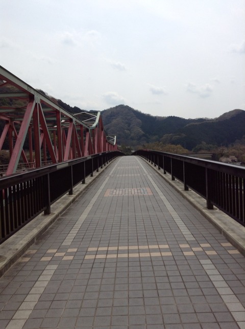画像14