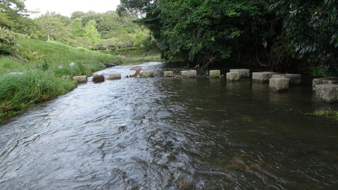 DSC01235