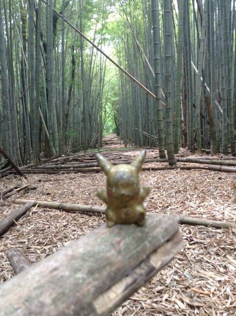 画像7