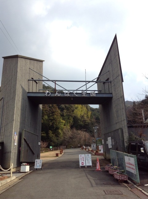 画像18