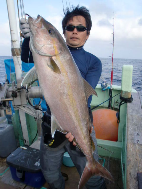 Gwの小笠原諸島 父島 Passionsブログ おにぎり日記 Gwの小笠原諸島 父島 Passionsブログ おにぎり日記