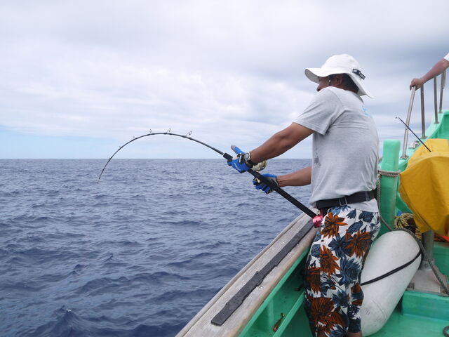 パッションズ ホーク52HBベイト 【公式通販】