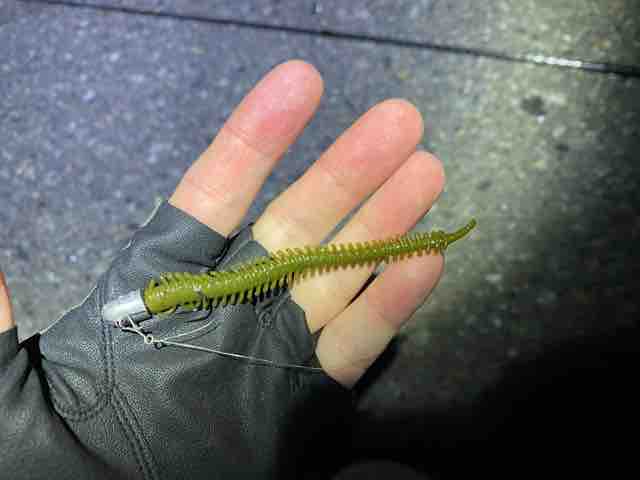 ガルプイソメの実力チェック 21釣行記 Vol 24 福岡を釣る 福岡を食う