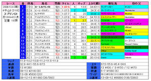 スプリンターズS(結果)2009