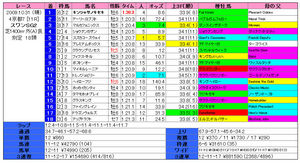 ¥¹¥ï¥óS¡Ê·ë²Ì¡Ë2009