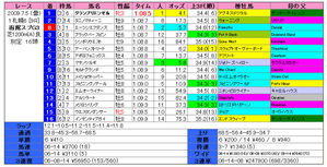 ȡ�ۥ��ץ���S�ʷ�̡�2009