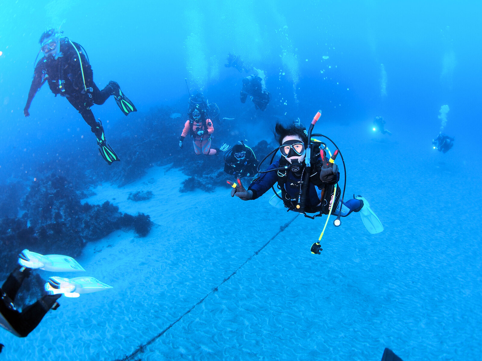 \\ 2024/1/3 初潜り 伊戸! // : JAWS STAFF BLOG